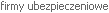 firma ubezpieczeniowa wielkopolskie